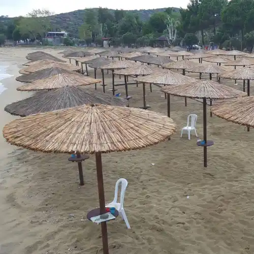 Foinikas Beach Bar & Εστιατόριο